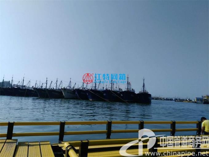 廣東深海抗風(fēng)浪網(wǎng)箱