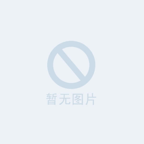 XNR-400C熔體流動(dòng)速率儀